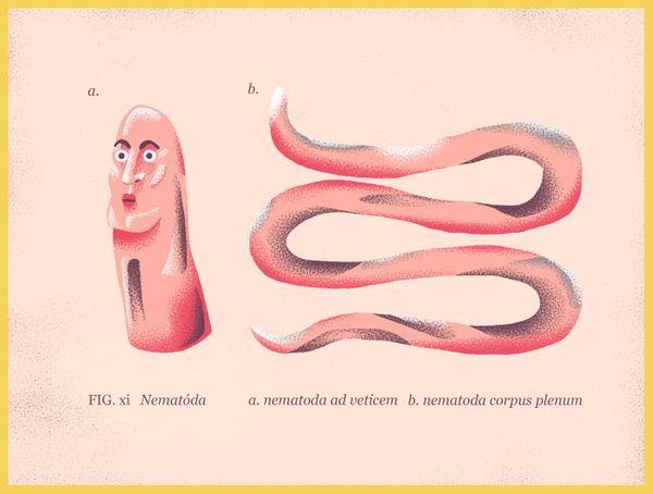 Planet Nematode